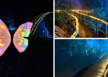 Renace en primavera la Floresta Encantada, el paseo más mágico de Portugal a un paso de Vigo