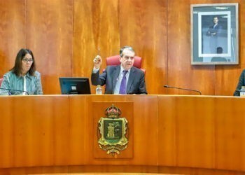 El Pleno aprueba los Vigueses Distinguidos y la Medalla de Vigo, y PP y BNG denuncian imposiciones