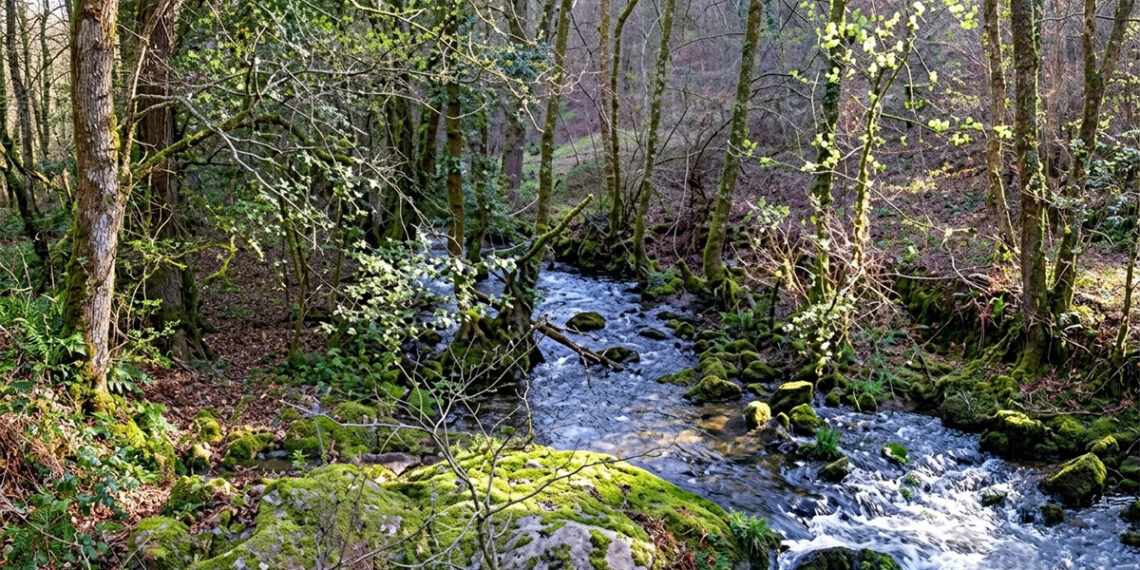Luz verde para recuperar un puente histórico y su entorno en un icónico sendero de Covelo