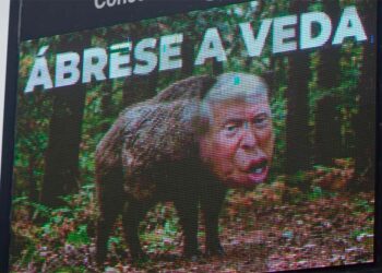 El municipio más rico de Galicia activa una campaña contra Donald Trump y lo convierte en un jabalí