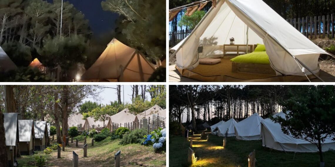 Un camping paradisíaco en una isla de las Rías Baixas y ahora ventana "única" al cielo nocturno