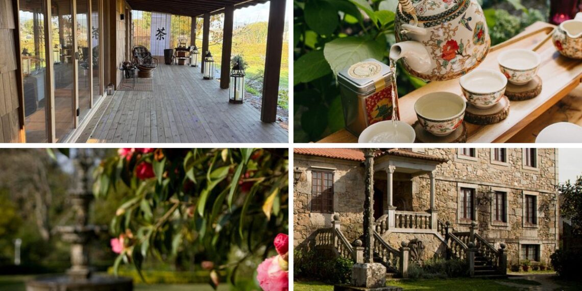 Uno de los jardines históricos de Galicia arrasa con una sorprendente experiencia, una auténtica "Casa de Té"