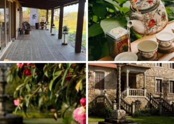 Uno de los jardines históricos de Galicia arrasa con una sorprendente experiencia, una auténtica "Casa de Té"
