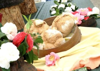 O Porriño se presenta como "el mejor lugar para vivir": té, pan, camelias y Rosa Porriño para crear un hogar