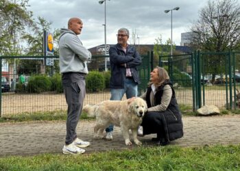 Luisa Sánchez pide a Caballero que "rectifique" para que Vigo pueda sumar un gran parque canino