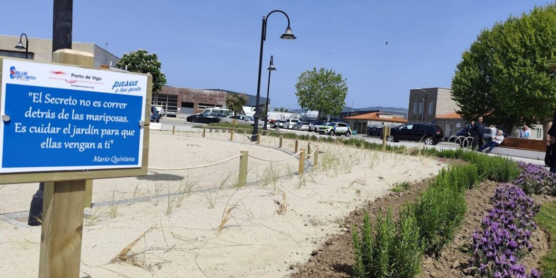 Vigo inaugura la nueva imagen costera de Bouzas con una jardinera dunar junto a la playa