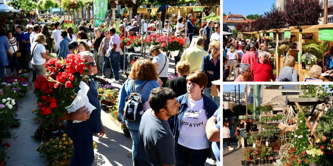 Tomiño ya tiene fecha para la "Feira de Cultivos", que tendrá talleres, conciertos y numerosos puestos