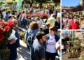 Tomiño ya tiene fecha para la "Feira de Cultivos", que tendrá talleres, conciertos y numerosos puestos