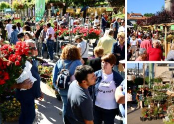 Tomiño ya tiene fecha para la "Feira de Cultivos", que tendrá talleres, conciertos y numerosos puestos