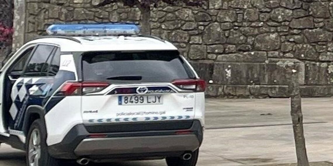 Identifican al vecino misterioso que cortaba árboles en pleno centro de Tomiño