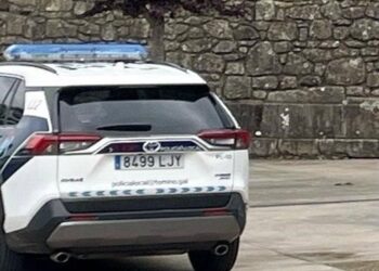 Identifican al vecino misterioso que cortaba árboles en pleno centro de Tomiño