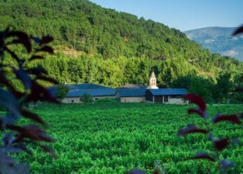 Las bodegas de Galicia abrirán sus puertas con catas, conciertos, experiencias termales y buses