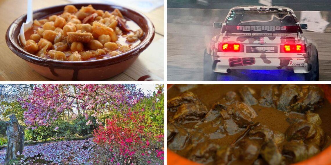 Callos, lamprea o hasta un Fashion Weekend, todos los planazos del fin de semana en Vigo y área