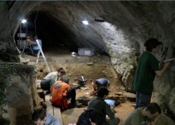 La ciencia redescubre la dieta prehistórica en Galicia y acaba con un misterio en la Cova Eirós