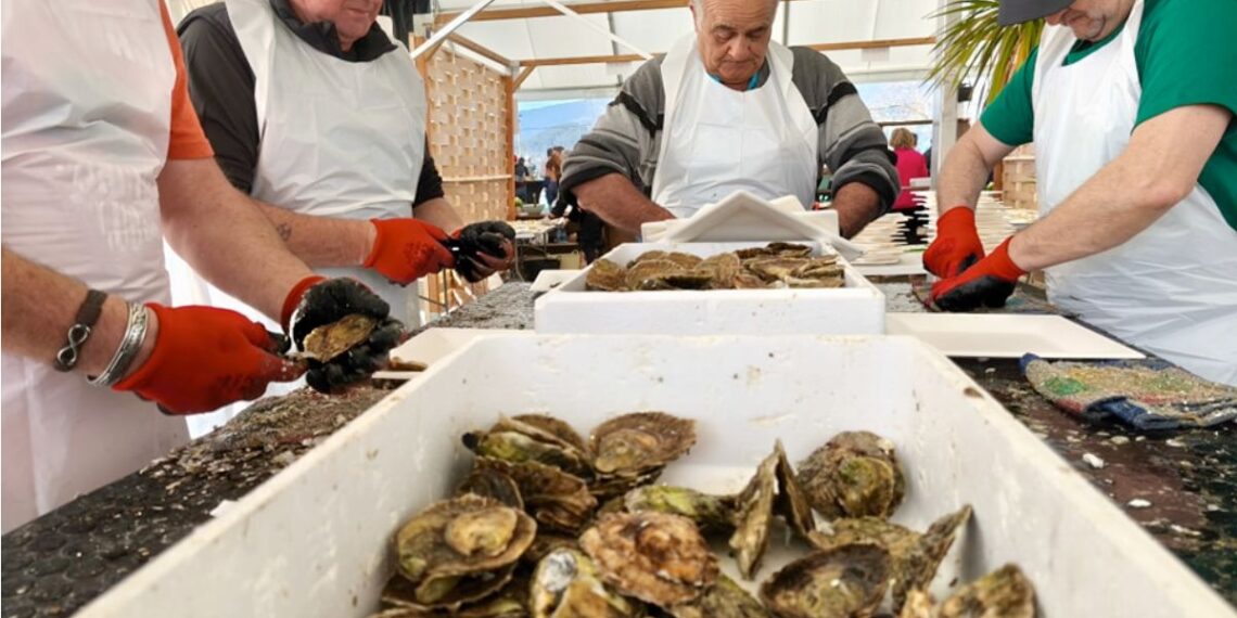 Arranca la Festa da Ostra de Arcade con la ración a 10 euros y carpa junto al mar