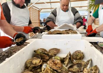 Arranca la Festa da Ostra de Arcade con la ración a 10 euros y carpa junto al mar