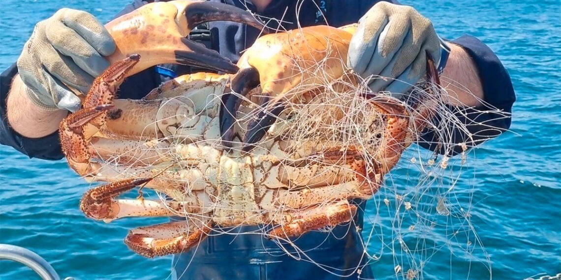 Golpe al furtivismo, Gardacostas incauta 225 kilos de pescado y marisco entre Corrubedo y Baiona