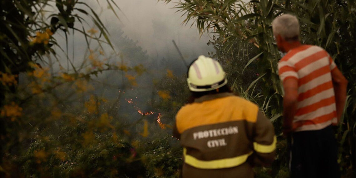 Extinguido el incendio forestal en Arbo tras quemar 33 hectáreas de monte