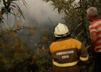 Extinguido el incendio forestal en Arbo tras quemar 33 hectáreas de monte