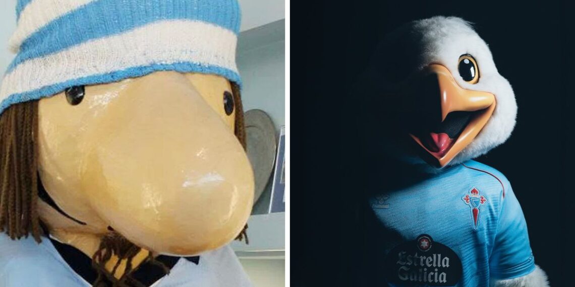 Vigo ya tiene heredero del mítico Celestino, así es Chiño, la nueva mascota del Celta