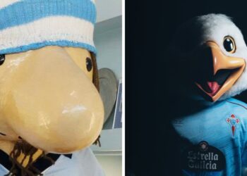 Vigo ya tiene heredero del mítico Celestino, así es Chiño, la nueva mascota del Celta