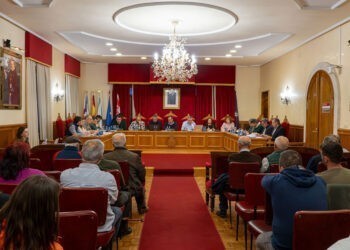 Tui aprueba los presupuestos más altos de su historia con récord para Axuda no Fogar