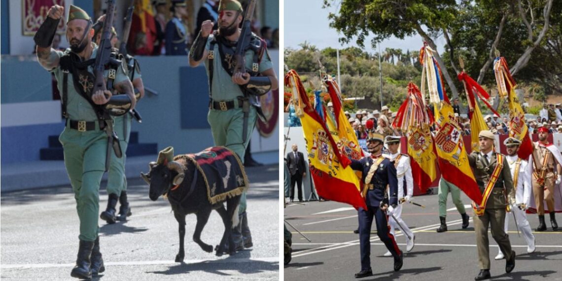 ¿Conoces a 'Baraka'? La particular mascota que desfilará en Vigo con las Fuerzas Armadas