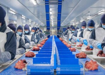 La pesquera viguesa Profand refuerza su crecimiento y compra el grupo canario Unión Martín