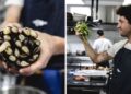 La Guía Michelin celebra la "cociña de impacto" con identidad de Galicia del chef Guillermo Rivera