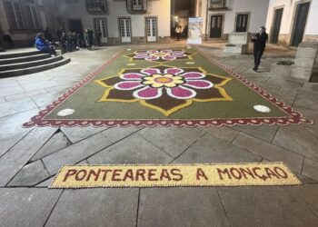 Galicia y Portugal, "unidas" por una espectacular alfombra de flores con casi 50 metros cuadrados
