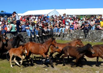 De tradición ancestral a experiencia única, visitas para descubrir y sentir los curros de Oia