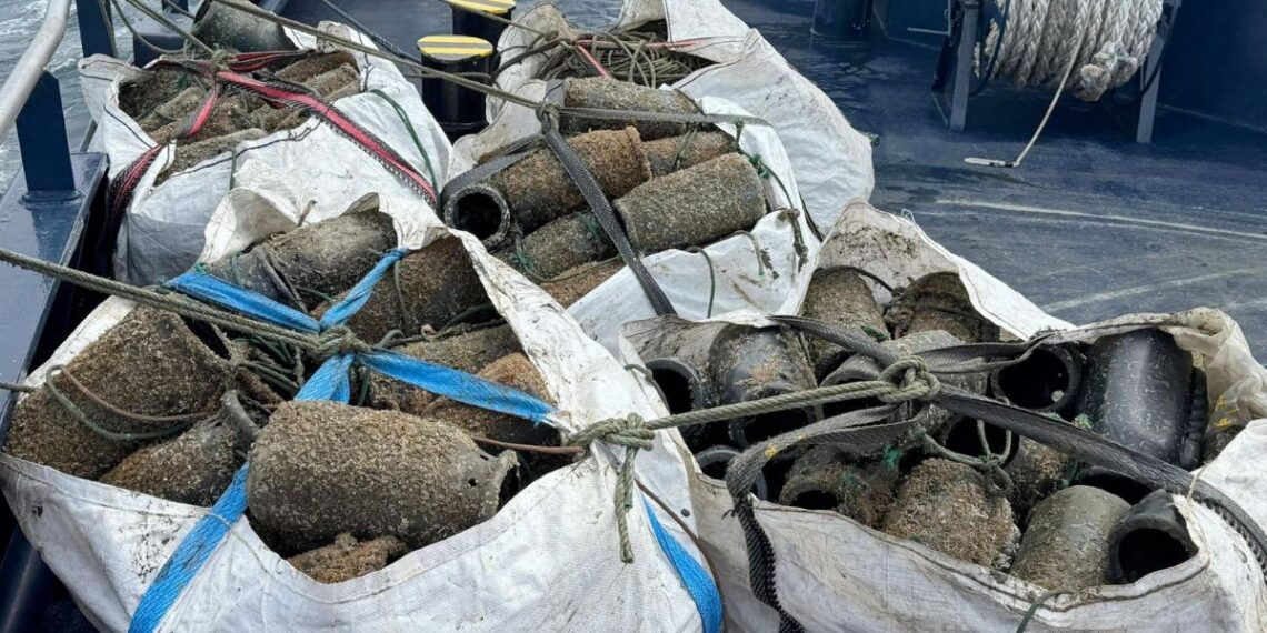Pillan a furtivos con 75 kilos de pulpo en la costa de A Guarda en pleno periodo de veda