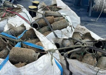 Pillan a furtivos con 75 kilos de pulpo en la costa de A Guarda en pleno periodo de veda