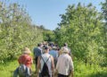 Vuelven las rutas gratuitas de Maceiras en Flor, con catas de sidra y visitas a espacios únicos