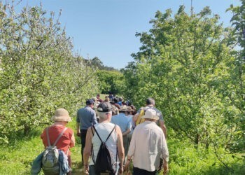 Vuelven las rutas gratuitas de Maceiras en Flor, con catas de sidra y visitas a espacios únicos