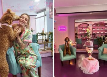 Un salón canino con photocall, así es el auténtico "templo" para las mascotas en Vigo