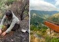 El paraíso verde de Galicia recupera un mirador único calcinado por los incendios del verano