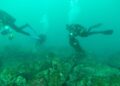 Alertan que extraer el pecio del "Ivy" de la ría de Vigo podría tener un impacto ambiental