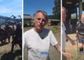 Calleja desembarca en las Rías Baixas para mostrar a toda España una de las mayores fiestas de Galicia