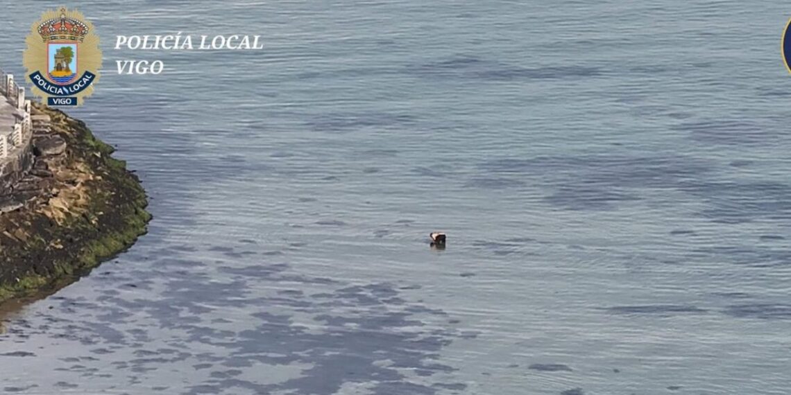 Cazan a un furtivo reincidente extrayendo de forma ilegal almejas en una playa de Vigo