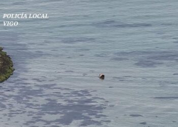 Cazan a un furtivo reincidente extrayendo de forma ilegal almejas en una playa de Vigo