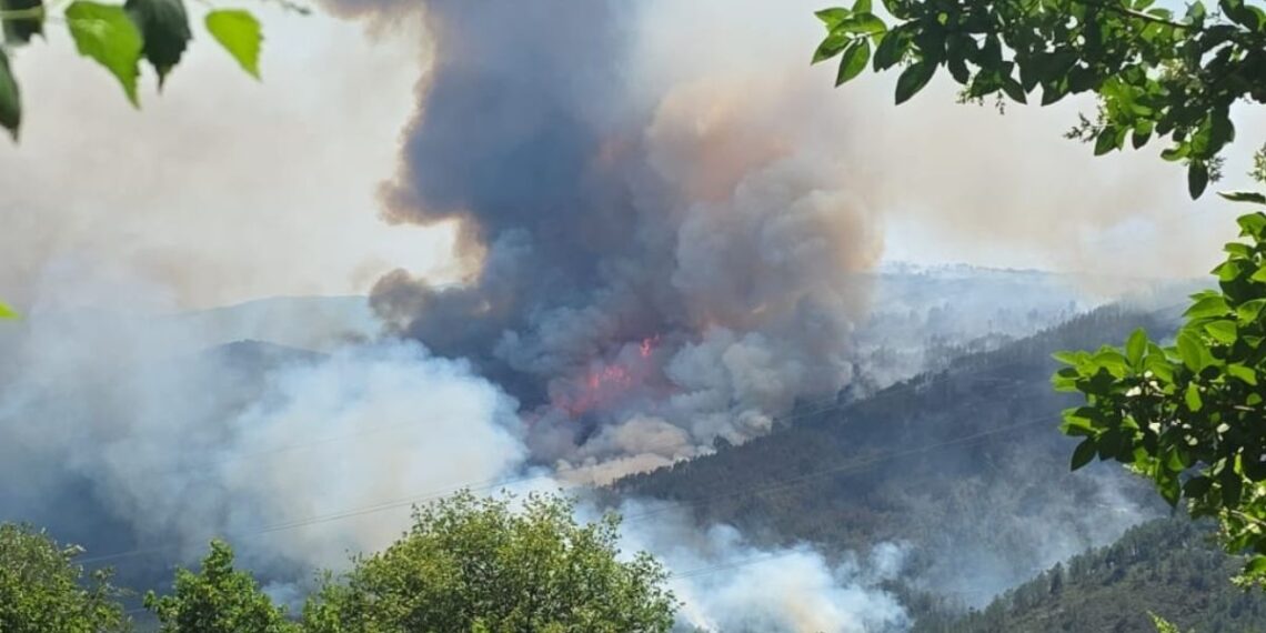 Un incendio arrasa 150 hectáreas en la provincia de Ourense y obliga a decretar la situación 2