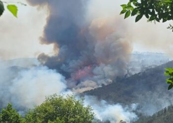 Un incendio arrasa 150 hectáreas en la provincia de Ourense y obliga a decretar la situación 2