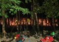 Dos incendios pusieron en alerta el área de Vigo en San Juan, uno en Gondomar y otro en Salceda