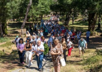 Tui organiza una caminata desde el centro del municipio hasta el Monte Aloia