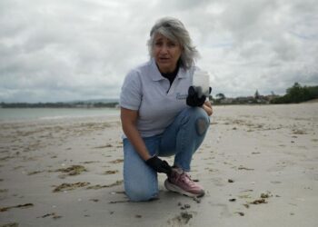 Vigo tiene el primer banco nacional de arena de playa de toda España
