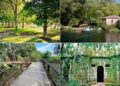 Oasis para huir del calor de la ciudad, cinco refugios climáticos en el área de Vigo