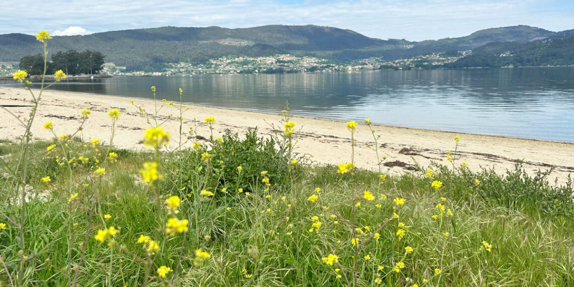 Galicia registró en 2026 la primavera climatológica más seca en 36 años