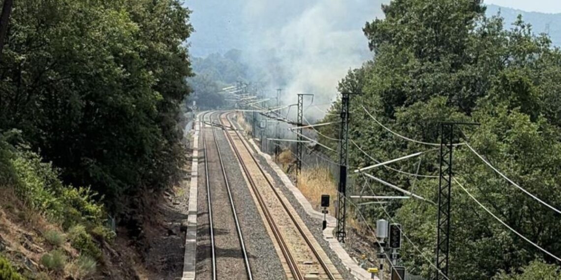 Un incendio corta la Alta Velocidad en Galicia tras la caída de un árbol entre Ourense y Taboadela