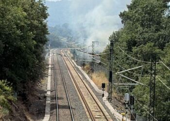 Un incendio corta la Alta Velocidad en Galicia tras la caída de un árbol entre Ourense y Taboadela